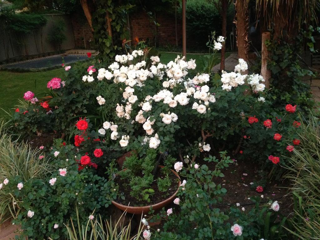 Anne'S Place Potchefstroom Buitenkant foto